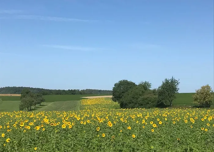 아파트 Souterrain *