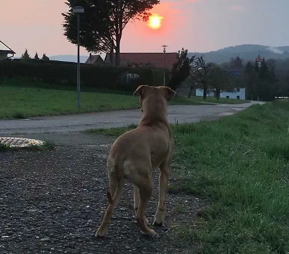 Apartamento Souterrain