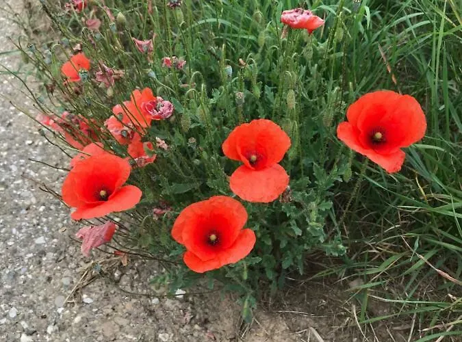 Souterrain Apartamento *