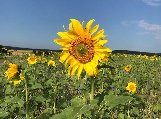 Souterrain Apartamento Haigerloch