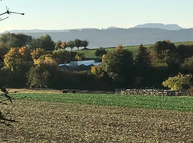 Apartamento Souterrain Haigerloch